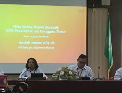 Wisatawan Mancanegara ke NTT Capai 29.851 Kunjungan pada Juli 2026