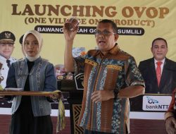 Bawang Merah Sumlili Naik Kelas, Gubernur Melki Dorong Hilirisasi Produk Desa